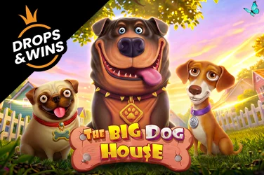 The Big Dog House